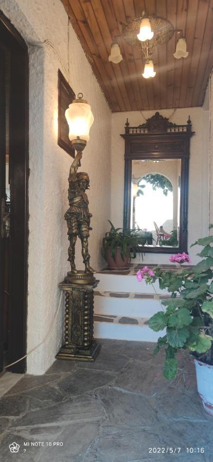 Odysseas Hotel Samos Esterno foto
