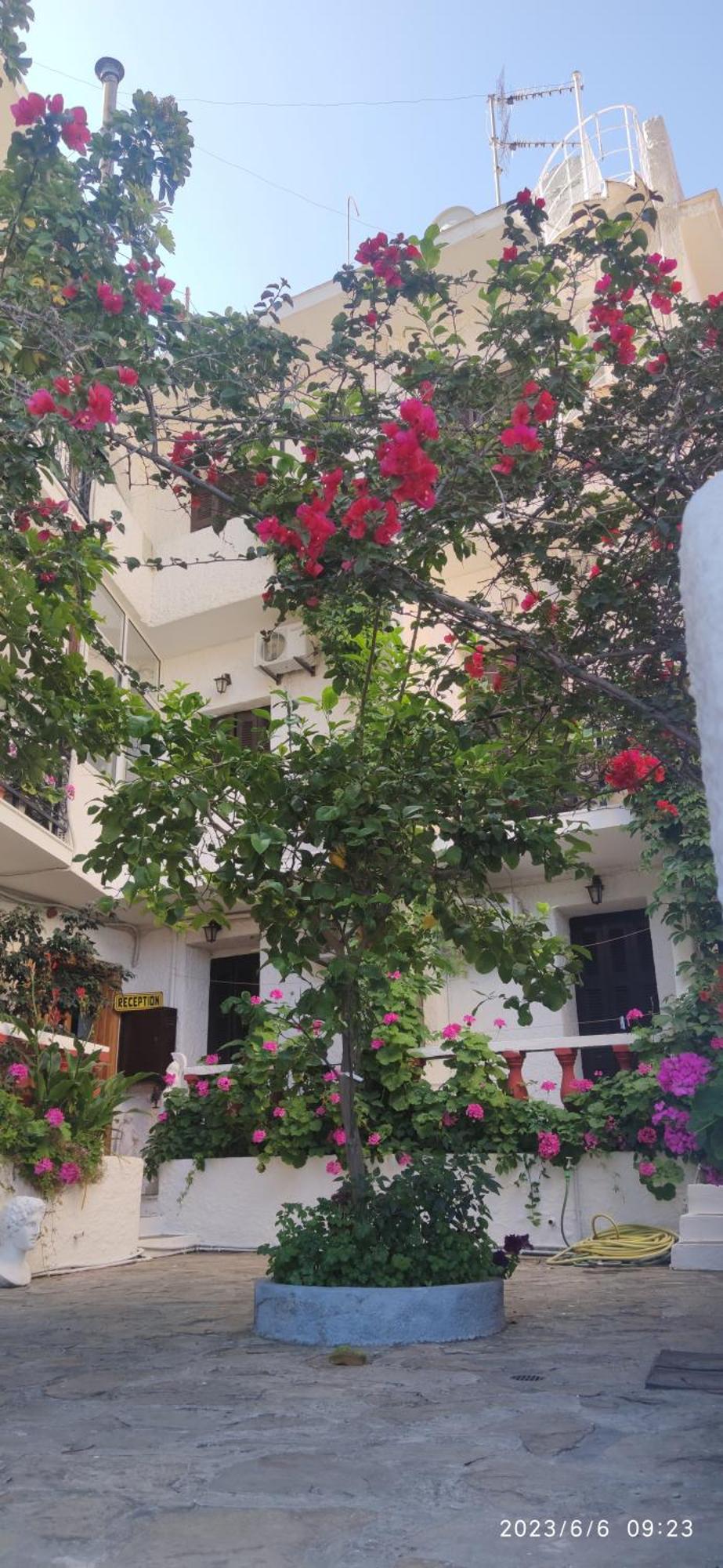 Odysseas Hotel Samos Esterno foto